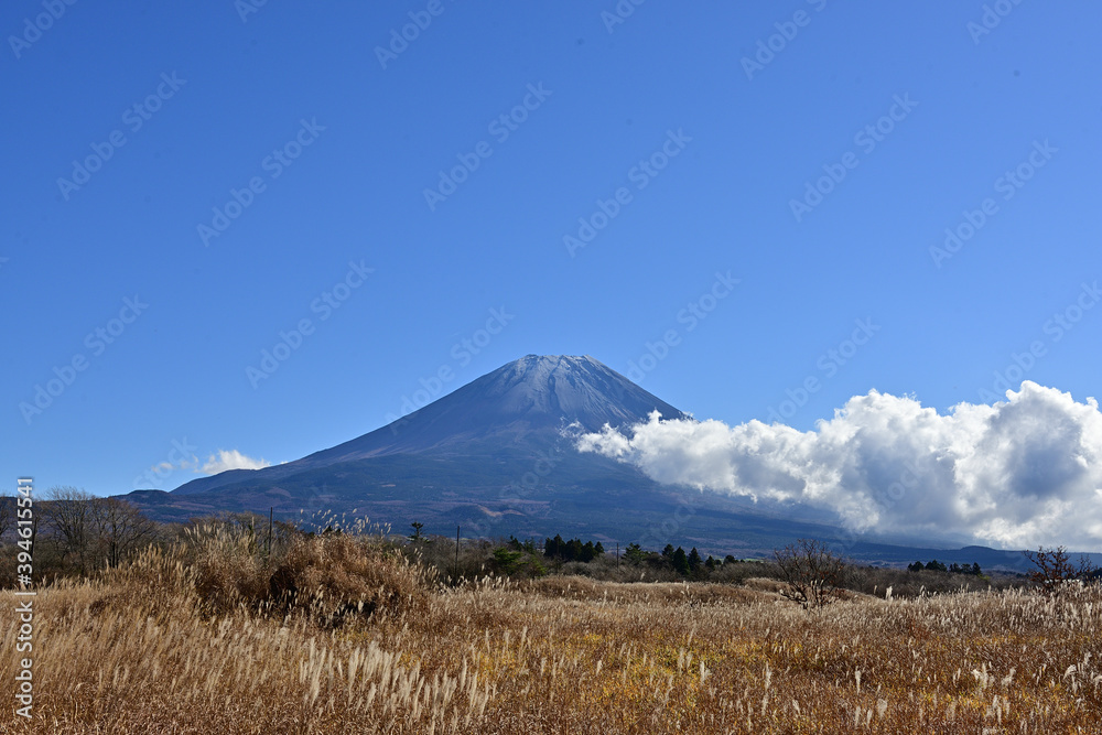 Fototapeta premium weather suggestive of autumn