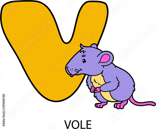 Vector illustration of educational alphabet card with cartoon animal for kids
