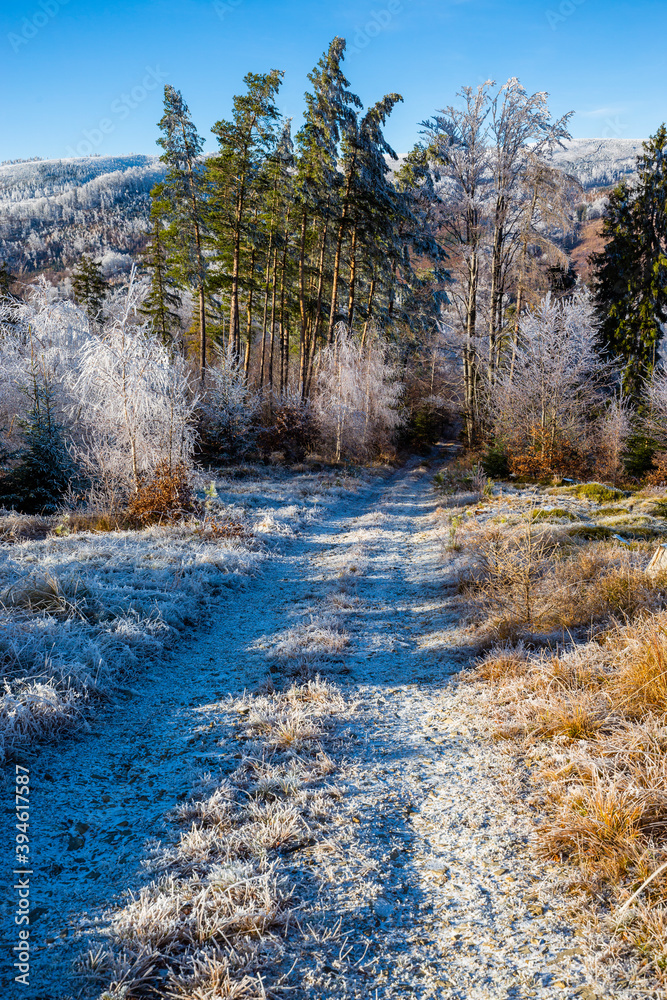 Frost covered forests in the Beskids. The trail to Skrzyczne, Poland.