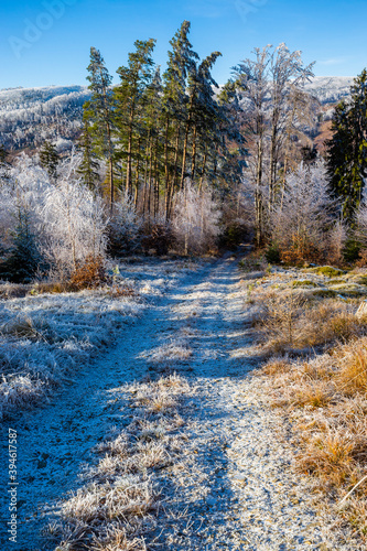 Frost covered forests in the Beskids. The trail to Skrzyczne, Poland.