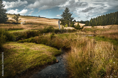 Mountain landscape  with a creek in the Ore Mountains 