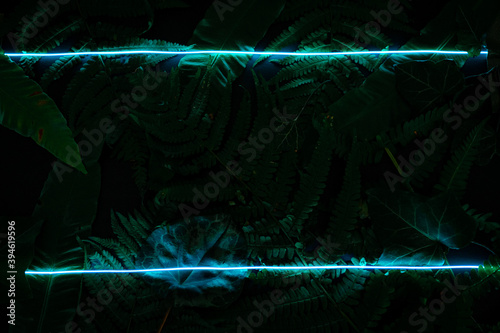 Concept of green leaves and neon blue light. Flat lay photo on the black backdrop.