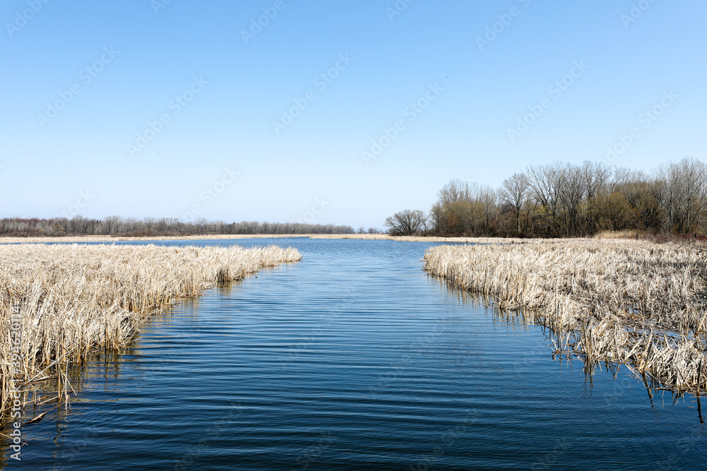 Buck pond in the Braddock Bay Wildlife management Area. Greece, New York. Buck pond in the Braddock Bay Wildlife management Area. Greece, New York.