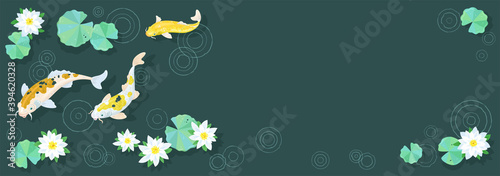 Three gold Japanese koi carp swim in the flowering pond during the rain. Banner on a Tidewater Green background. Trends color 2021. Place for your text. Vector flat illustration.