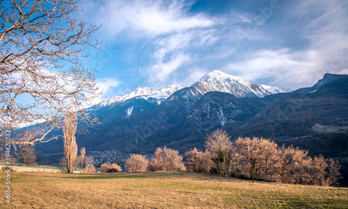 Landscape in the Aosta Valley. Yellow autumn field against the background of the Alps. photo