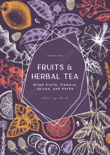 Hand sketched herbal tea ingredients frame. Vintage herbs, leaves, flowers, fruits hand drawings design. Perfect for recipe, menu, label, packaging. Herbal tea template. Botanical illustration.