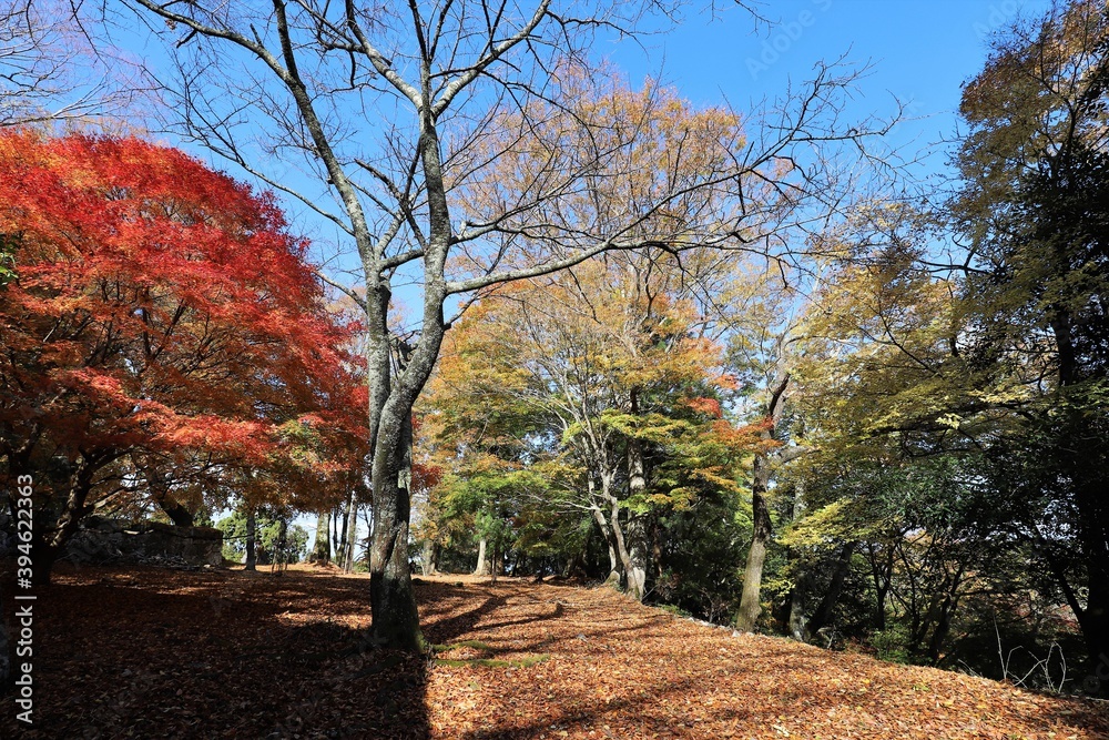 高取城の紅葉 高取城の紅葉