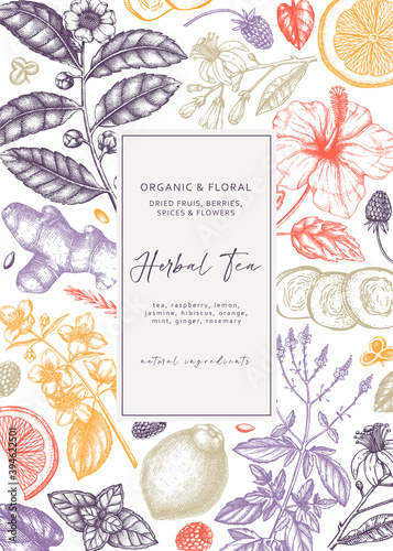 Delicate herbal tea ingredients banner with botanical elements. Vintage herbs, leaves, flowers, fruits hand drawings background. Perfect for recipe, menu, label, packaging. Herbal tea template.