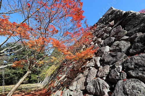 高取城の紅葉 © narautsu