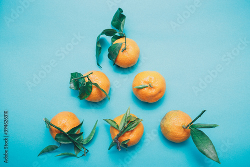 Fototapeta Naklejka Na Ścianę i Meble -  Mandarins oranges, tangerines, clementines, citrus fruits with leaves on a turquoise background, copy space