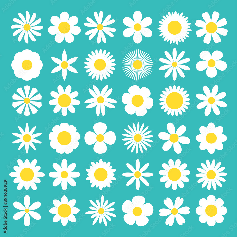 White daisy chamomile icon. Camomile super big set. Cute round flower head plant nature collection. Decoration element. Love card symbol. Growing concept. Flat design. Isolated. Green background. White daisy chamomile icon. Camomile super big set. Cute round flower head plant nature collection. Decoration element. Love card symbol. Growing concept. Flat design. Isolated. Green background.