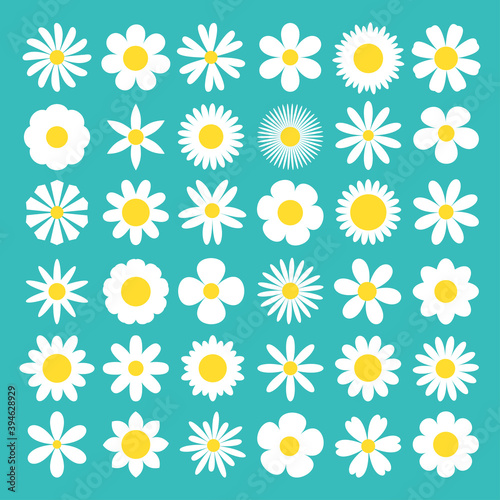White daisy chamomile icon. Camomile super big set. Cute round flower head plant nature collection. Decoration element. Love card symbol. Growing concept. Flat design. Isolated. Green background.