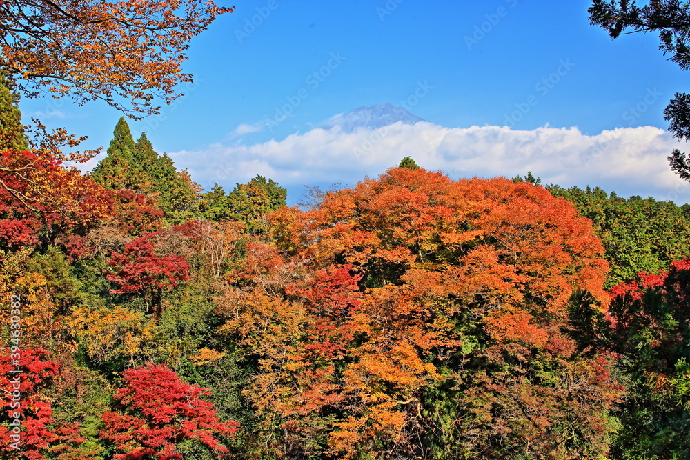 The trees leaves on the mountains were starting to change color. The trees leaves on the mountains were starting to change color.