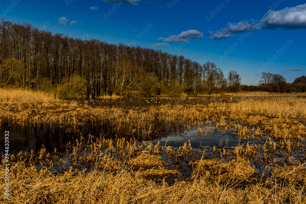 Spätherbst im Ochsenmoor. Spätherbst im Ochsenmoor.