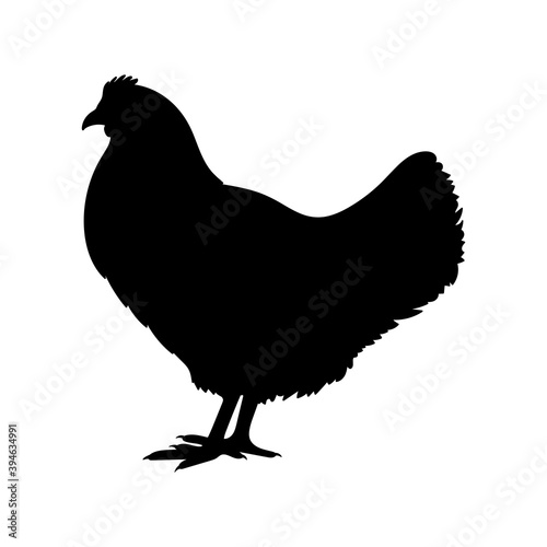 Chicken or hen black silhouette. Farm bird icon. Poultry symbol. Vector illustration.