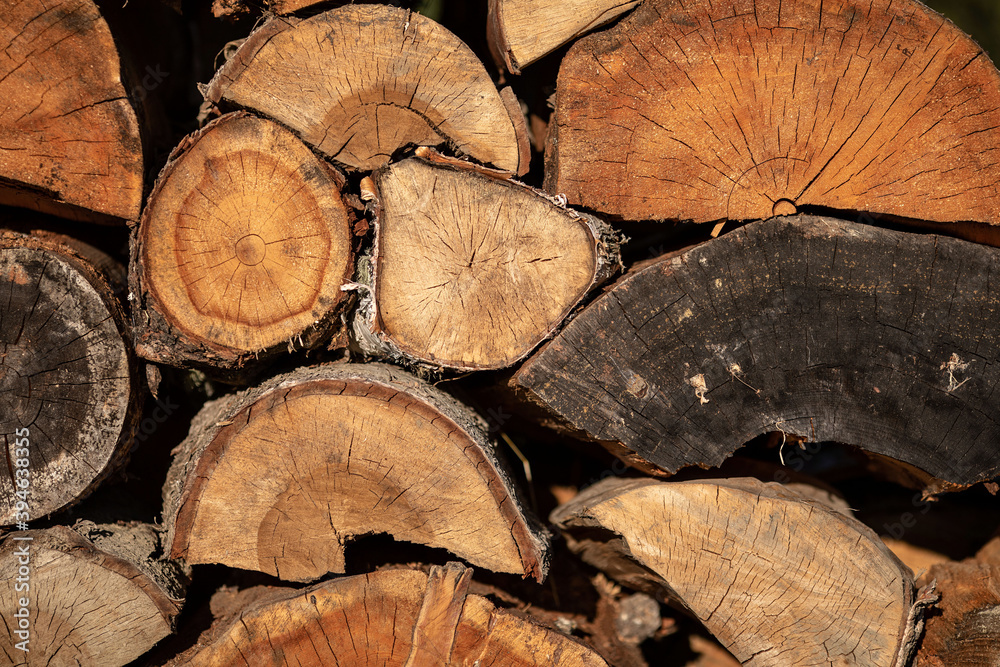 Naklejka premium Background. Logs lined up. Raw material. Chopped down pieces of trees