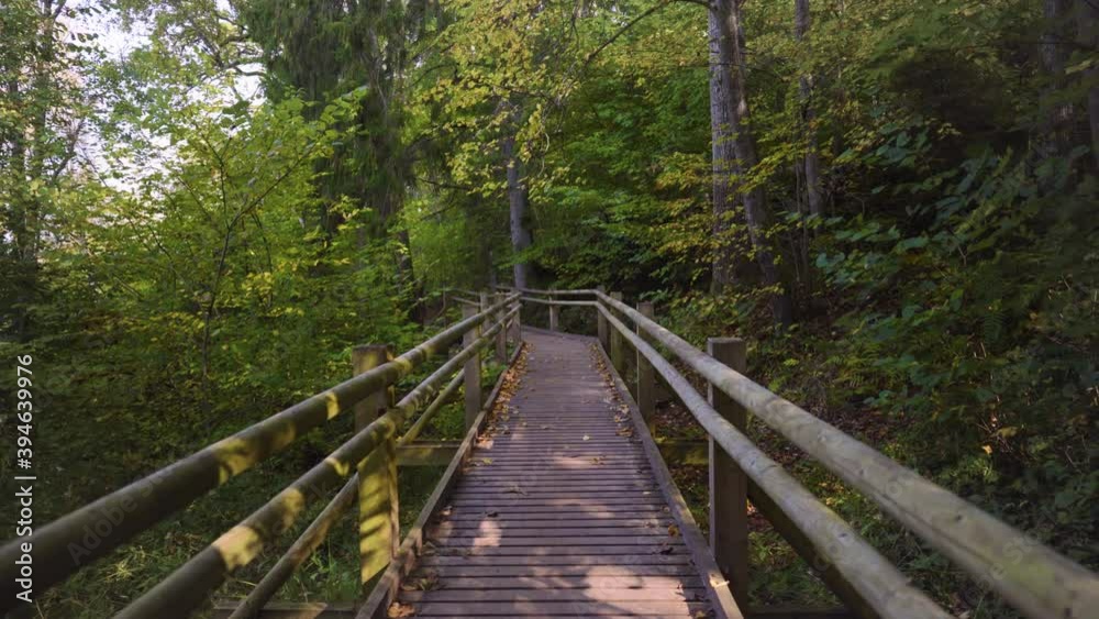 Walk through the forest in the Gauja National Park. The path between the trees climbs the hill. The sun is shining between the trees. Latvia Walk through the forest in the Gauja National Park. The path between the trees climbs the hill. The sun is shining between the trees. Latvia