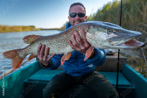 Angler with pike fish. Amateur fisherman holds trophy pike (Esox lucius) and sits in the boat with river on the background