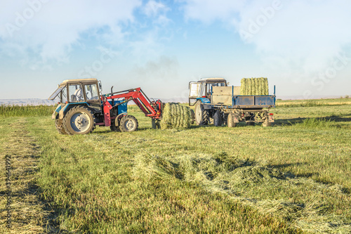 Alfalfa hay bales are loaded onto a trailer by a tractor in the countryside during the summer season.