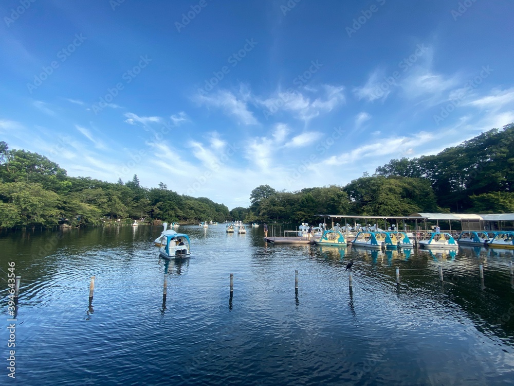井の頭公園の池