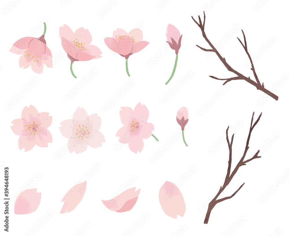 桜　花びら　枝　水彩　手描き　セット

