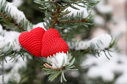 Two love hearts in the snow on fir branches. Background for romantic card  Christmas and New Year celebration  Valentine s day or winter weather