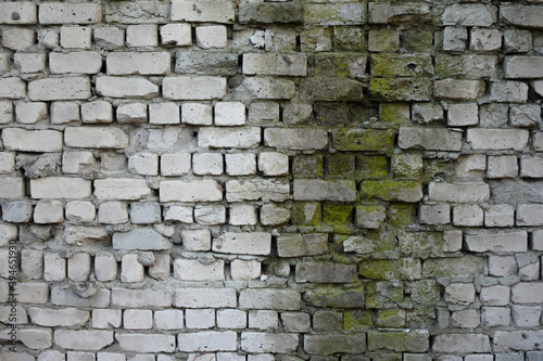 Old brick wall with moss