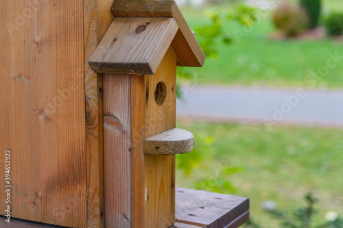 Rough-hewn birdhouse in the park. Wooden elements are not processed and painted. Bird feeder. A house for the birds. Selective focus. Copy space
