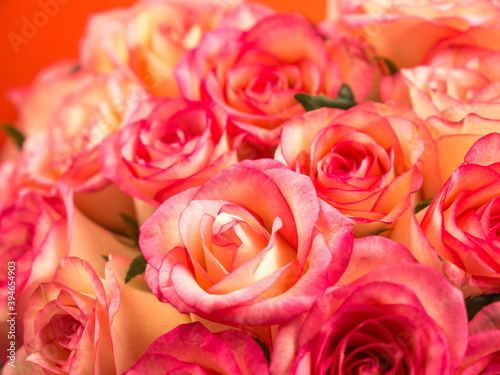 Close-up large bouquet of pink roses.Fresh roses close-up. Flower gift. Selective focus, shallow depth of field
