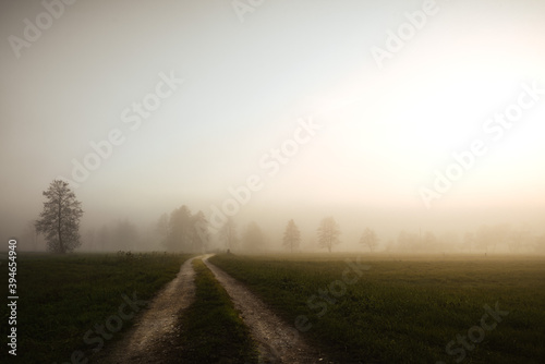 Country road in the evening mist