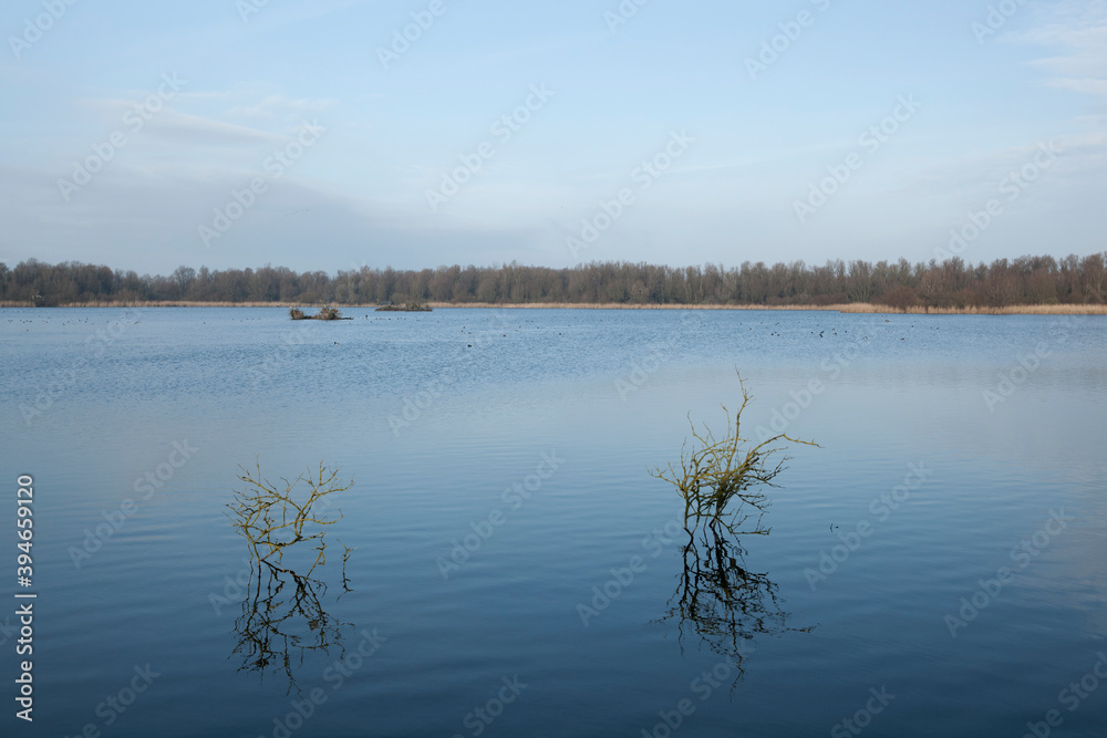 Fototapeta premium De Lepelaarsplassen