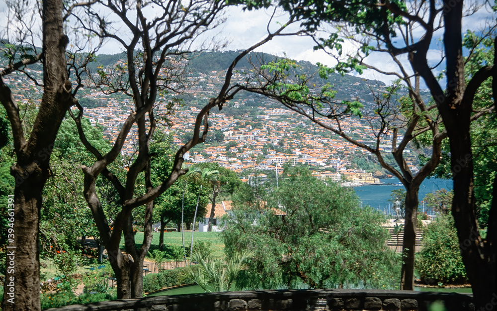 Funchal, city view with port, Madeira Funchal, city view with port, Madeira