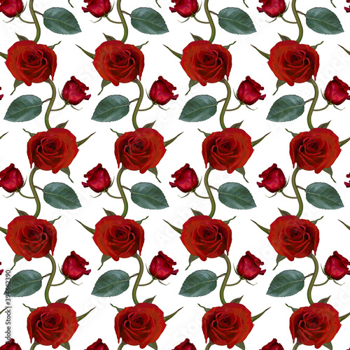 Seamless pattern with red rose flowers and green leaves on white background. Endless colorful floral texture. Raster illustration.