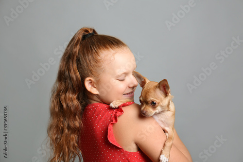 Little girl with her Chihuahua dog on grey background. Childhood pet