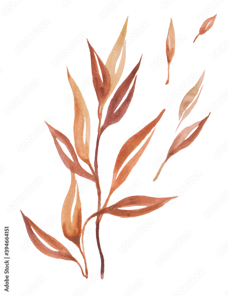 watercolor branch illustration hand drawn watercolor branch illustration hand drawn