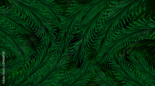 Merry Christmas and Happy New Year, Christmas tree branches