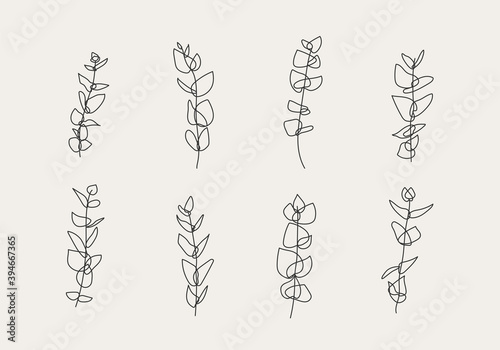 Minimalist botanical branch with leaves elements for abstract collage