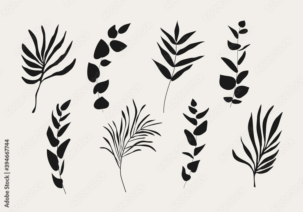 Minimalist botanical branch with leaves elements for abstract collage