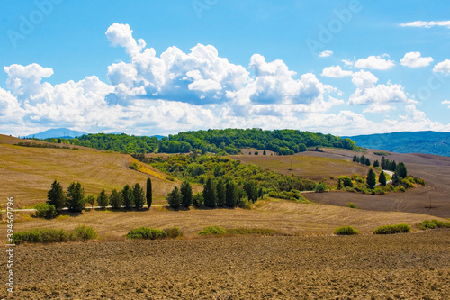 The brown late summer landscape around the historic village of Murlo, Siena Province, Tuscany, Italy
 photo