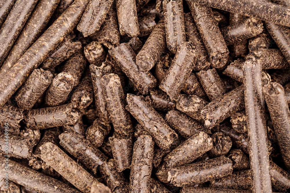 Sunflower Meal Pellet. Sunflower processing concept. Sunflower Meal Pellet. Sunflower processing concept.