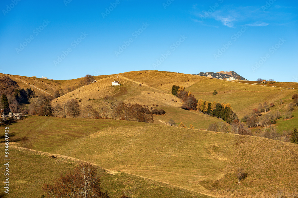 Landscape of the Lessinia Plateau (Altopiano della Lessinia), in autumn with meadows and tree and the peak of the Carega Mountain. Verona province, Veneto, Italy, Europe.