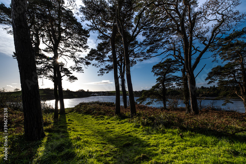 Gibbs Island  Killyleagh  Northern Ireland