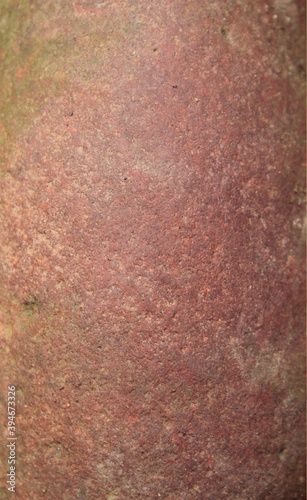 Wallpaper Mural Brown stone texture, used for the background. Torontodigital.ca