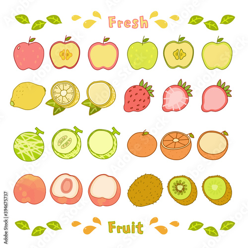 8種類のカラフルなフルーツの主線付きベクターイラストセット（全体＆断面）