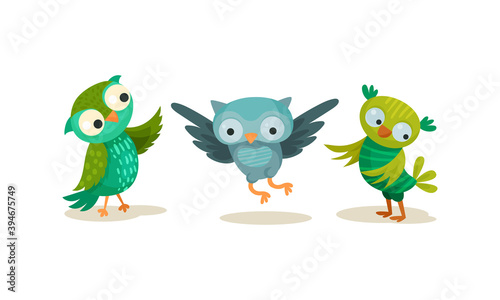 Funny Owlet with Big Eyes Walking Vector Set