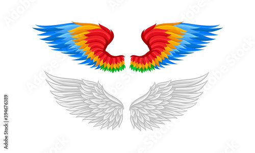 Feathered Wings of Different Flying Creature Vector Set