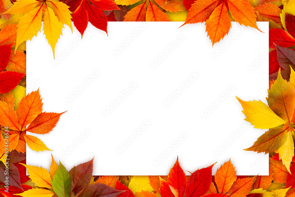 Blank card surrounded by colorful autumn leaves. Blank card surrounded by colorful autumn leaves.