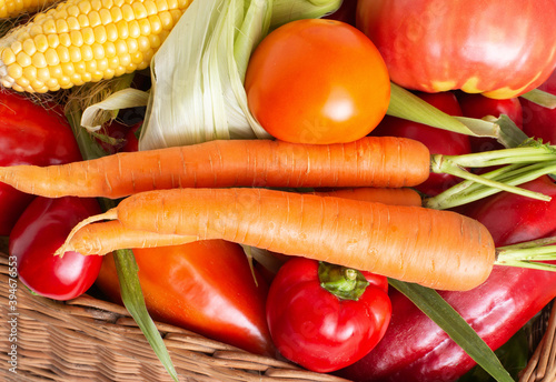 Healthy colorful vegetables grown in the garden, autumn harvest. Natural tomatoes, corn cobs and carrots, ingredient photo