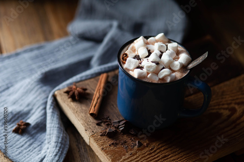 cup of hot chocolate with marshmallows and cinnamon 