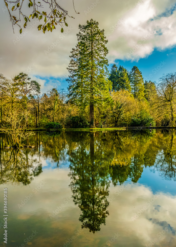 Reflection of a winters day! Reflection of a winters day!
